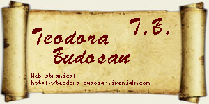 Teodora Budošan vizit kartica